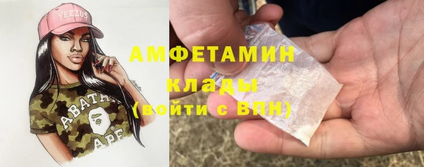 крисы Алзамай