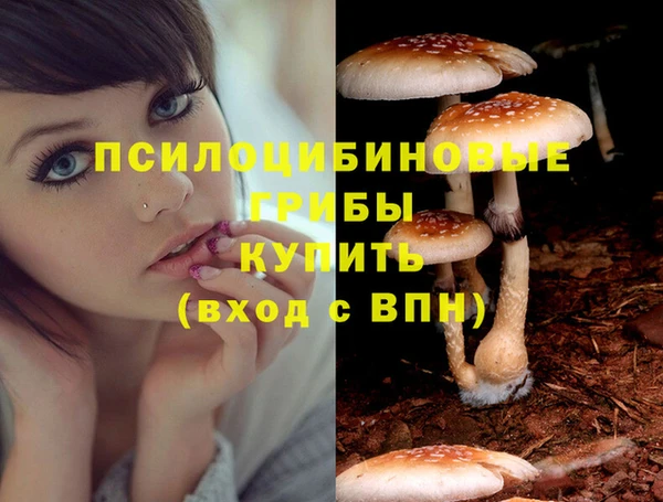хмурый Алексеевка