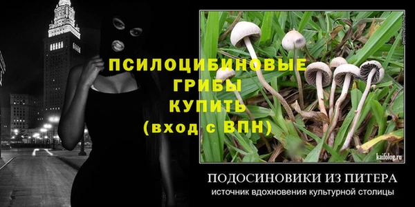 крисы Алзамай
